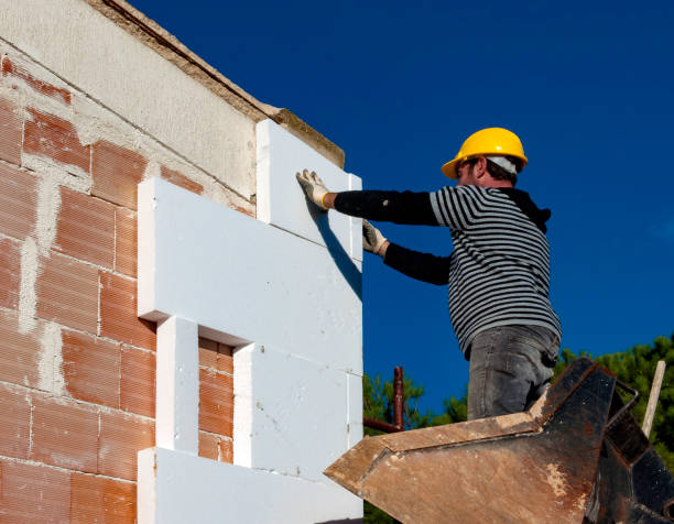 Best Affordable Insulation Services  in Leipsic, OH