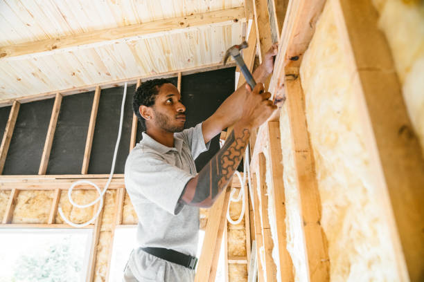 Best Insulation Replacement Services  in Leipsic, OH